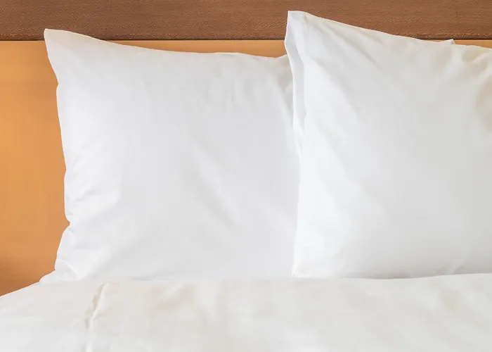Holiday Inn Express & Suites Houston Southwest Galleria Area By Ihg